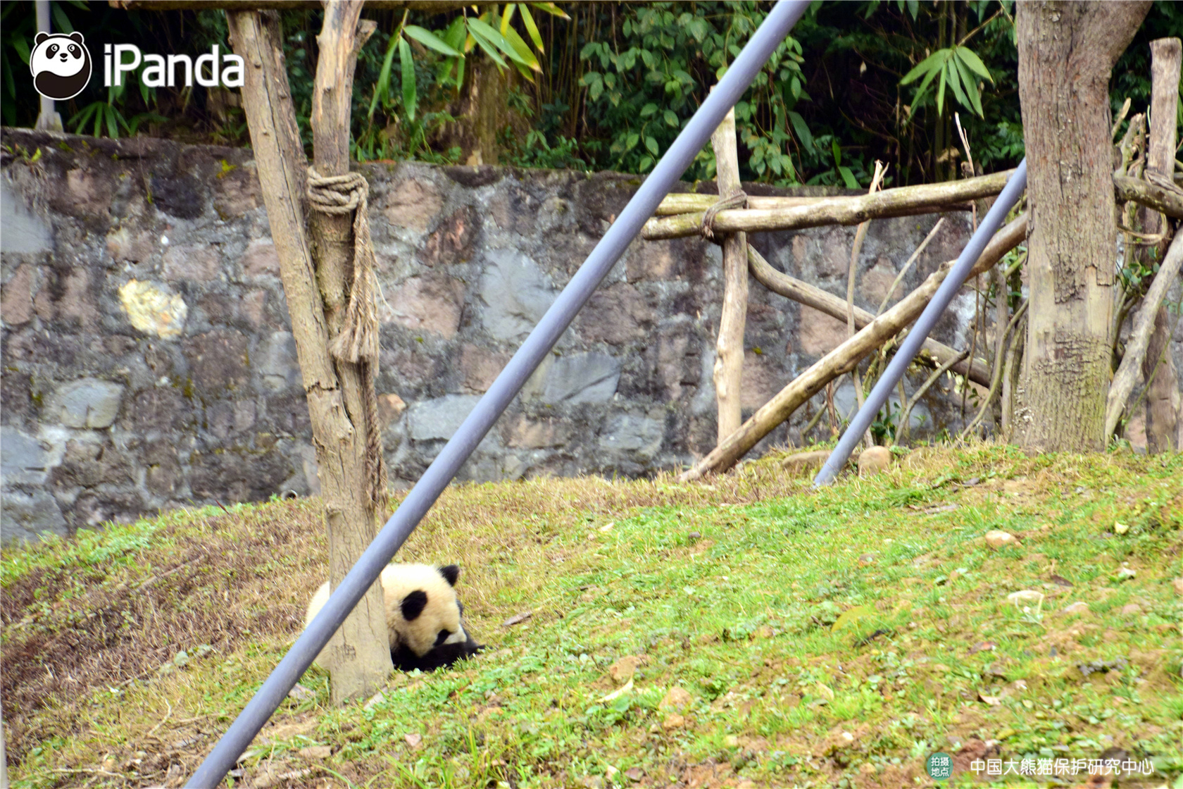 寧國(guó)市胡樂(lè)鎮(zhèn)周海平巧手傳技藝 非遺煥新彩