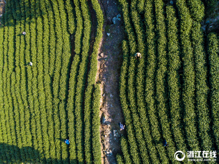 玻璃市場早報,期貨知識