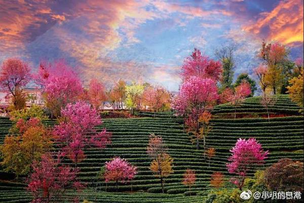 成人血管瘤的原因 講述治療血管瘤的方法