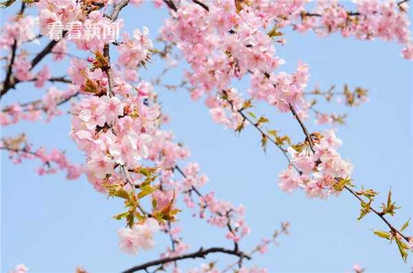 男人到了45歲，要提防5種癌癥，堅持“3多2少”，身體才會更好