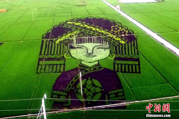 血吸蟲病的治療 根據檢查結果治療