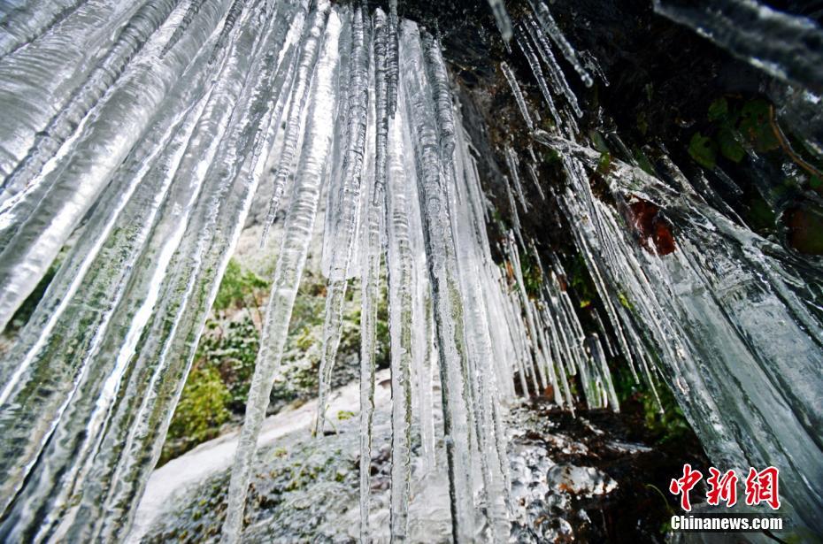 濃眉哥狂砍45+10完爆唐斯 鵜鶘勝森林狼取4連勝