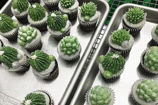 高血壓患者聯合用藥有什么好處，為何需要聯合用藥，不用行否