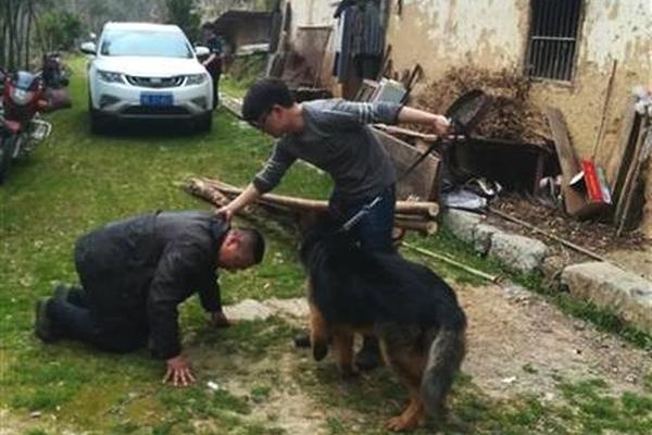 臉上老年斑增多，如何緩解，四種食物了解下