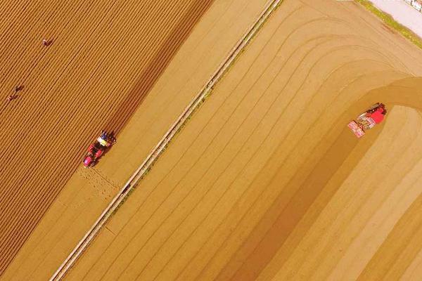脖子太粗的人健康嗎，可能易招惹七種疾病，及時(shí)了解