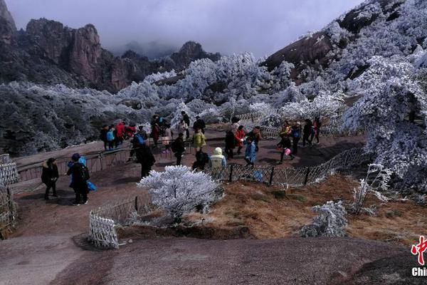 每體:巴薩有意水晶宮中衛格伊,將面臨皇馬、利物浦競爭