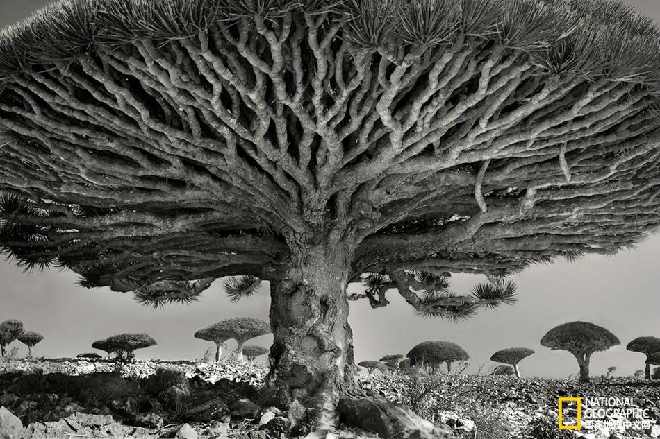 很多人的“胃病”，其實(shí)是自己“作”出來(lái)的，看看你中招沒(méi)？