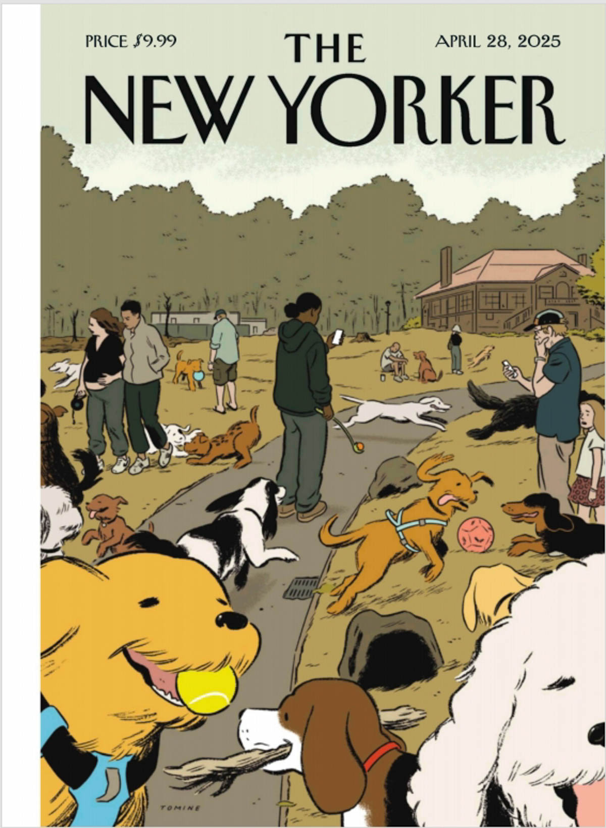 破傷風(fēng)針是什么，打一針多少錢(qián)，要注意什么