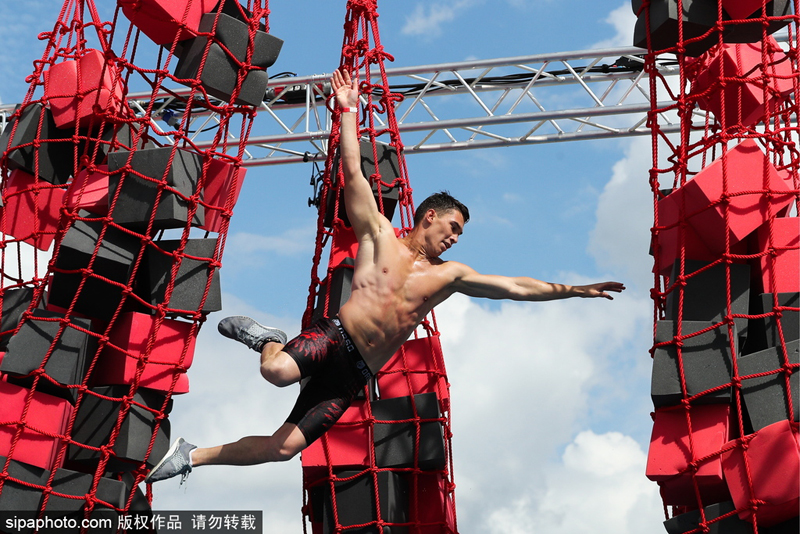 小麥、大麥、燕麥,有何區(qū)別?誰的營養(yǎng)價(jià)值最高?一文幫你科普